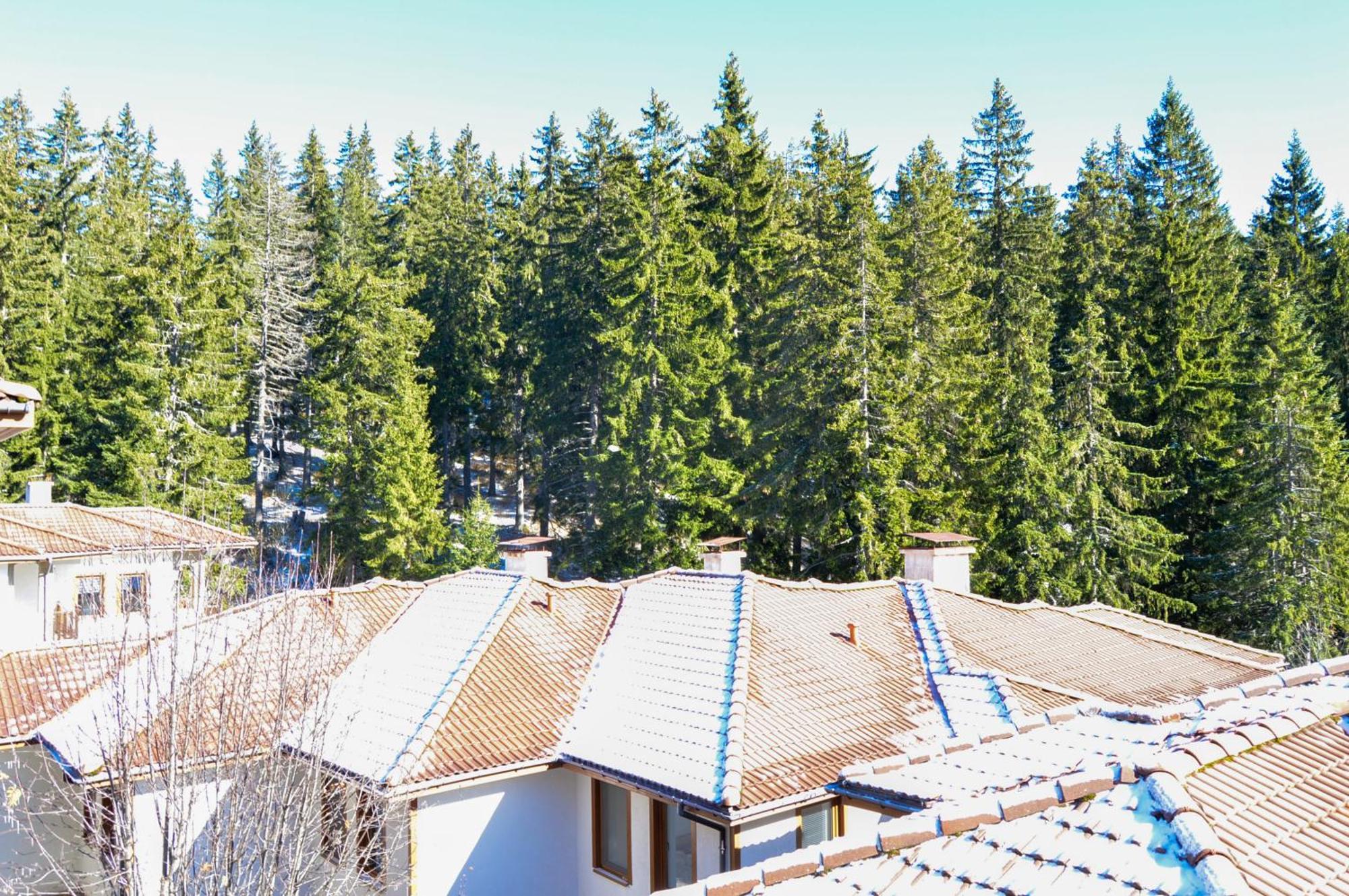 Myplace Pamporovo Апартаменти За Отдих Exteriör bild
