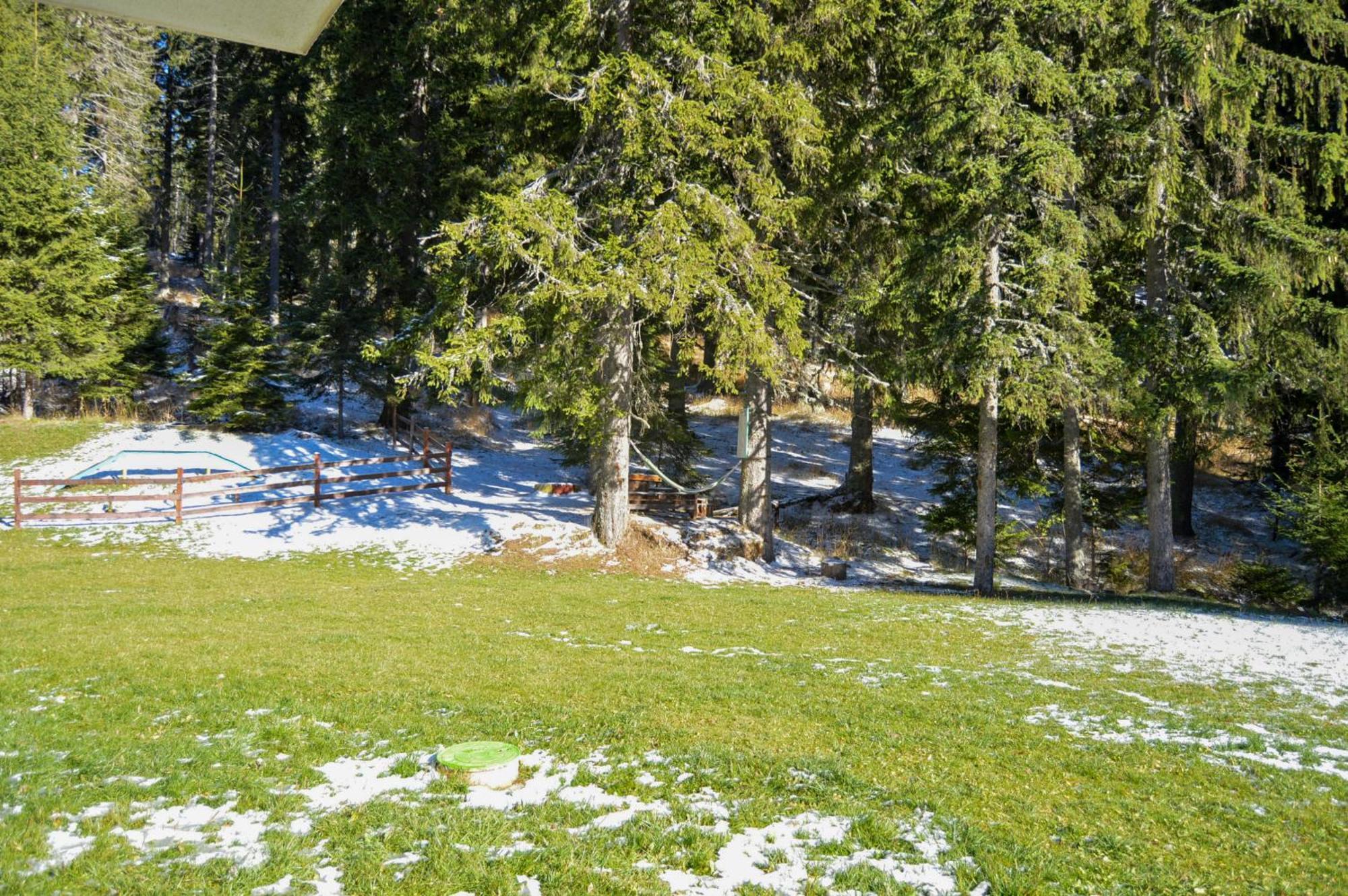 Myplace Pamporovo Апартаменти За Отдих Exteriör bild